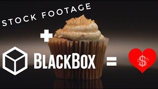 How to Make Money with Stock Footage and BlackBox - Review