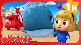 Giant Whale Rescue!  | Cartoons for Kids | Mila and Morphle