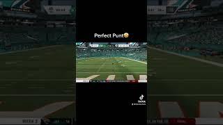 Perfect Punt