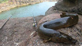 BAAM FISHING, CAMPING AT HOME WITH CHILDREN, FISH BARBEQUE