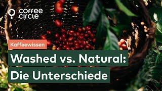 Washed vs Natural Kaffee Verarbeitung | Coffee Circle