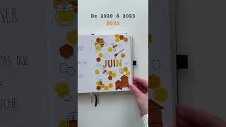 Thèmes de Juin de 2020 à 2023 ! #bulletjournal #junecover #bujo