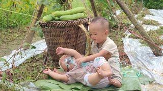 A 17-year-old single mother harvesting luffa to sell at the market, life is difficult.