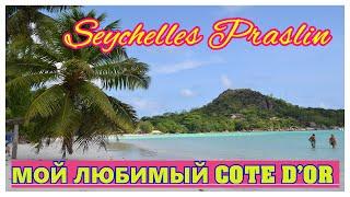 Обзор пляжа Кот Д'Op Остров Праслин СейшелыCote d'Or beachPraslin Seychelles#mirnaladoni2020