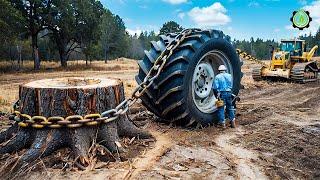 Extreme Dangerous Fastest Big Chainsaw Cutting Tree Machines | Monster Stump Removal Excavator #18