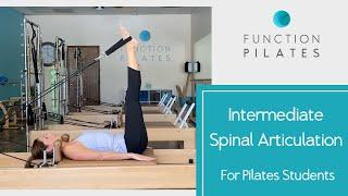 Short Spine & Long Spine ~ For Pilates Students