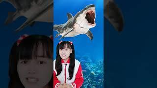 สาเหตุที่เม็กกาโลดอน ต้องสูญพันธุ์ไปจากโลก #megalodon