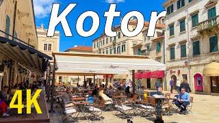 Kotor Montenegro ️4K Walking Tour - April 2024