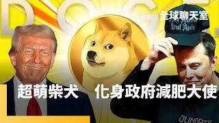 微笑柴犬門面擔當　「政府效率部」為聯邦政府瘦身　川普延攬馬斯克、拉馬斯瓦米節省政府開支　DOGE撞名狗狗幣價格直線飆漲｜全球聊天室｜#鏡新聞