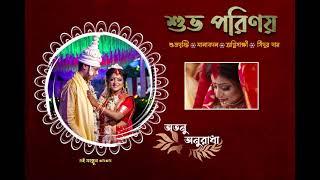 ProPSD Bengali Wedding Cover Vol 1