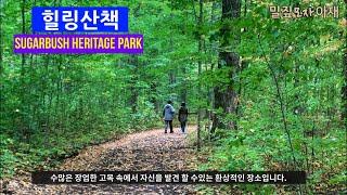 힐링 산책/ 아름다운 Thornhill의 Sugarbush Heritage Park 산책