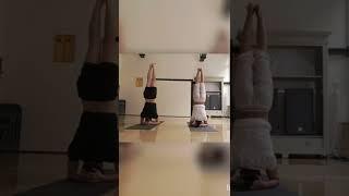 Headstand & shoulderstand practice before 'Pranayama'/yogic breath control