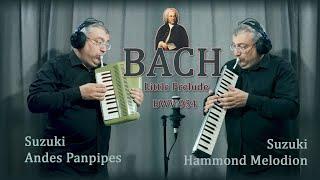 BACH - Little Prelude, BWV 934  Suzuki Andes 25F Panpipes  Hammond Melodion, Drums.