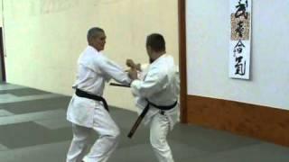 Sensei Vladimir Popovic Shohei Ryu / Uechi Ryu Kei Serbia Hombu in Moskow