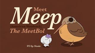 Meet the MeetBolz | Meep the American Woodcock