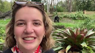 Animal Kingdom and Flight Cancellations