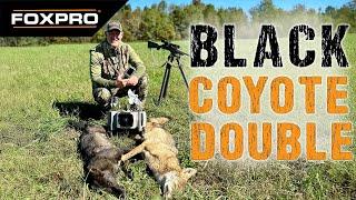 Black Coyote Double! - Coyote Hunting