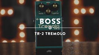 Boss TR-2 Tremolo | Reverb Demo Video