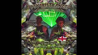 Psycristrance 2024 / Nanoplex / IbogaTech Records