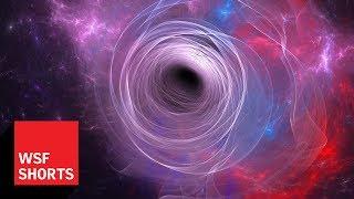 What is the Black Hole Information Paradox?