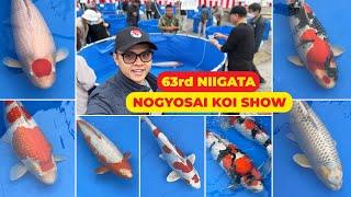 The BEST JAPANESE KOI at 63rd NOGYOSAI KOI SHOW | The BEAUTY of NISHIKIGOI