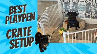 Best Puppy Play Pen Crate Setup For Your New Puppy