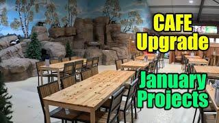 Cafe Upgrades & January Projects | Zoo vlog