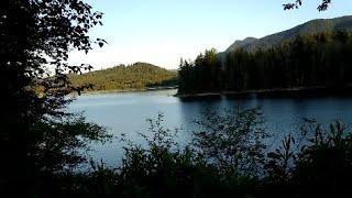 Morning at Alder lake 