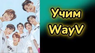 Учим WayV / wayv как различать / WayV участники / как различать WayV