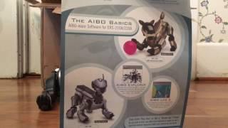 eBay Aibo Haul- Two ERS-210s