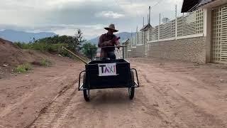 El paisanito de Taxista