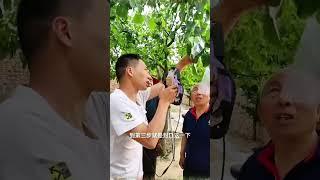 果樹套袋小工具，減少打農藥次數，減少病蟲害的滋生Small tool for bagging fruit to reduce frequency of pesticide application