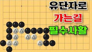 바둑사활 - 유단자가 되고 싶다면 꼭 알아두어야 합니다 #사활 #승부 #맥점 #묘수 #playgo #바둑강좌