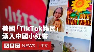 TikTok禁令臨近 美國用戶「逃難」中國小紅書－ BBC News 中文