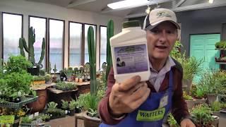 Watters Garden Center Multipurpose Insect Spray