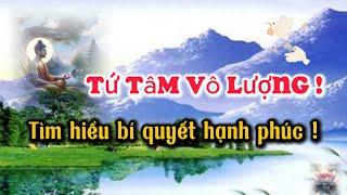 Bí Ẩn Tứ Tâm Vô Lượng: Hành Trình Chạm Đến Trái Tim! #đạolýnhânsinh #phatgiao #loiphatday