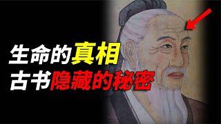 古代奇书：这本古书记载了生命的真相，看医圣如何解释精神的秘密【白同学哟】