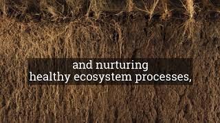 How to Improve Soil Health in 60 Seconds