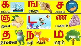 Tamil alphabets|uyir mei ezuthukkal| ka kappal ka karadi|க ங ச ஞ| தமிழ் உயிர்மெய் எழுத்துக்கள்