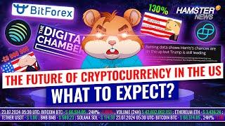 Kamala Harris meme coin surge, BitForex returns, $8M trader loss ️ Hamster News