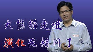 527｜胡义波：大熊猫必将走向灭亡？我们已经克服了大熊猫繁育三难的问题｜中国科学院动物研究所｜格致SELF