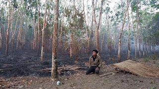 MUSiBAH, kebun karet ini kebakar, hangus dilahap siJago merah, hidup dihutan berkebun CR-60