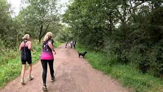 Serene London Walk Through Enchanting Epping Forest ASMR