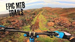 7 Unmissable MTB Trails to Ride!!! - Trip to Madeira Island