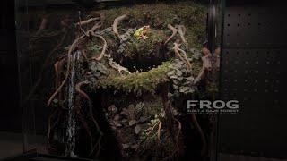 Tiny Frog's World: 1398-Day Journey into a Lush Frog Ecosystem Tank with Enchanting Waterfalls