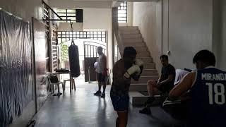 BOXING PUNCH MITTS FOR BEGINNERS