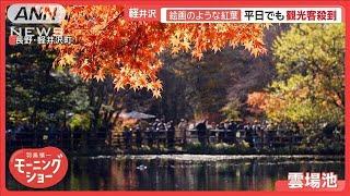 軽井沢の絶景“絵画のような紅葉”　観光客で大混雑…地元住民「家まで10分が1時間」【羽鳥慎一モーニングショー】(2024年11月13日)