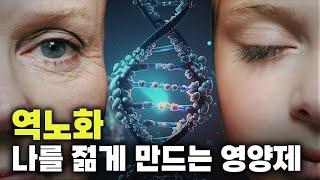 역노화| 늙은쥐가 다시 젊어졌다. 노화를 막는 영양제는 바로 '이것' (오토파지,간헐적단식)