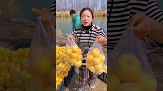 Delicious Yellow Apple  Fruits Harvest from Farm With Rural Farmer #shorts #apple #youtubeshorts