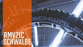 Schwalbe Big Betty | RMV2IC Limited Edition